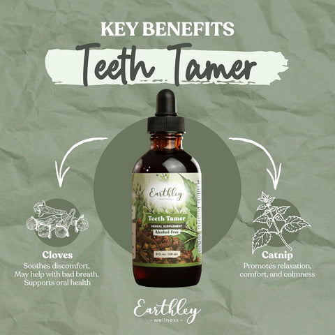 Earthley Wellness Teeth Tamer, Teething Relief for Babies & Kids, Organic Herbal Formula, 3 Month Supply (1.69 oz Glass,1,000 Drops)