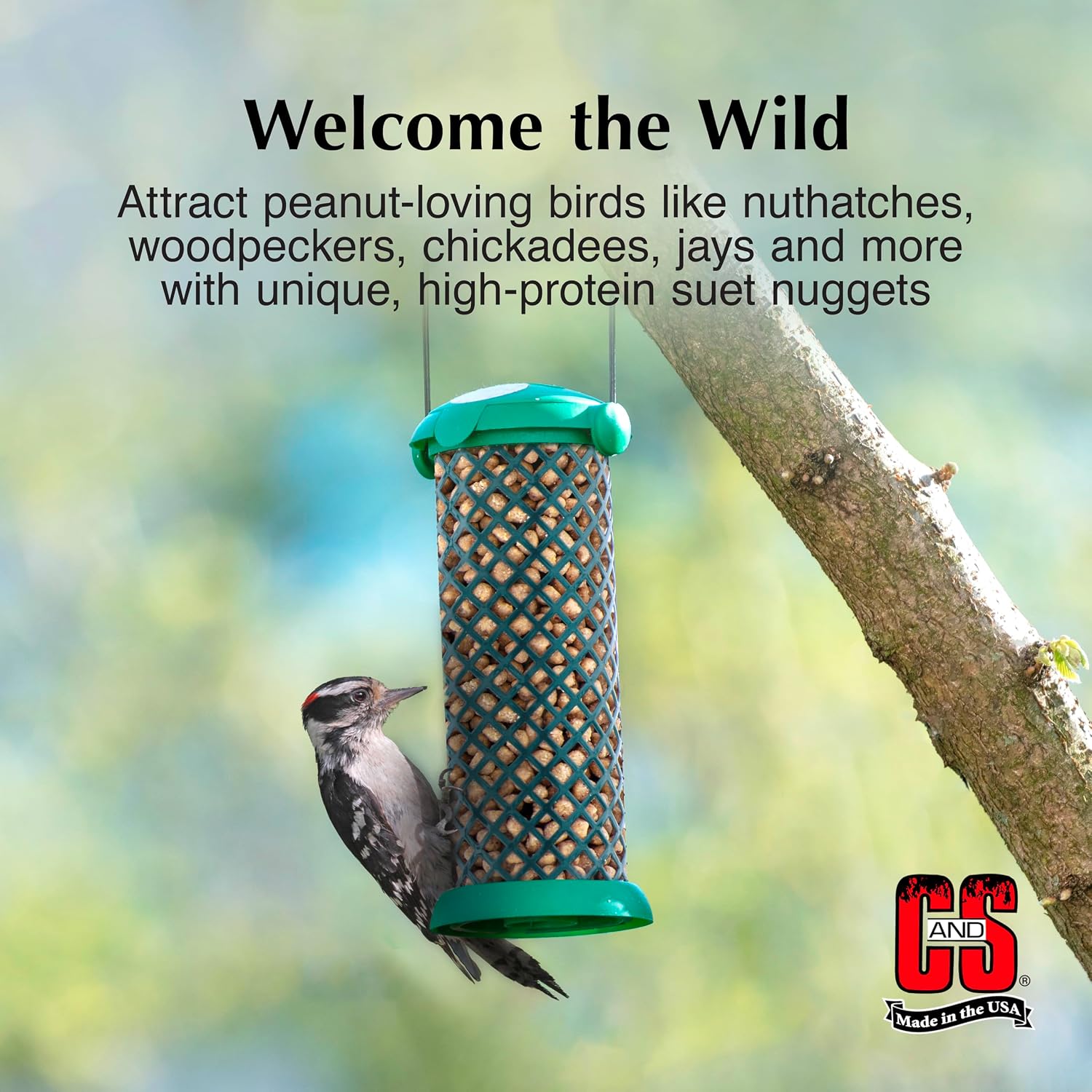 C&S Peanut Flavor Suet Nuggets, Bird Suet for Woodpeckers, 27 Ounces