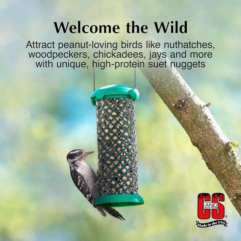 C&S Peanut Flavor Suet Nuggets, Bird Suet for Woodpeckers, 27 Ounces