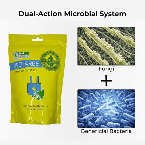Real Growers Recharge – 5lb | Mycorrhizae Soil Microbe Inoculant for Living Soil & Coco Coir | Improves Nutrient Uptake & Root Growth