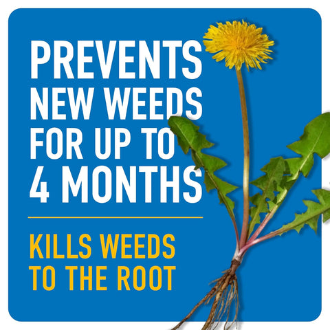 Roundup Dual Action Weed & Grass Killer Plus 4 Month Preventer Concentrate