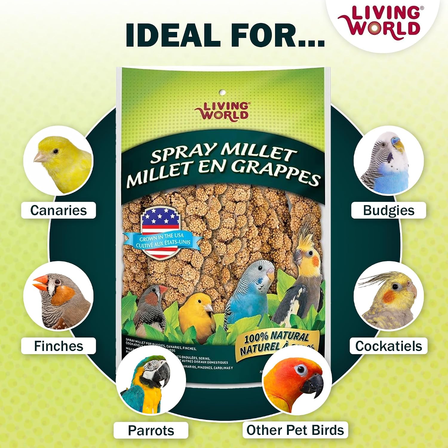 Living World - Millet Spray for Birds, 7 Oz