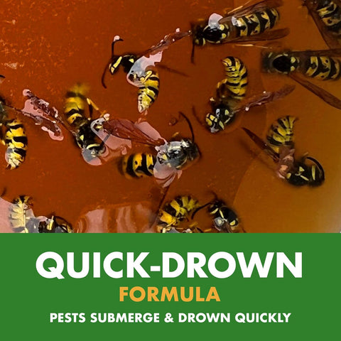 Spectracide Wasp, Hornet & Yellowjacket Trap, 1 Count
