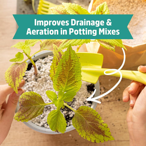 Back to the Roots 100% Organic Perlite | Made in the USA | Premium Nutrition for Indoor and Outdoor Plants