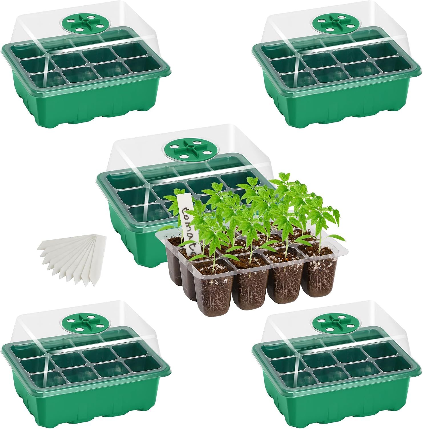 Bonviee 5-Pack Seed Starter Trays, Humidity Dome, Base, 12-Cell Tray, Green