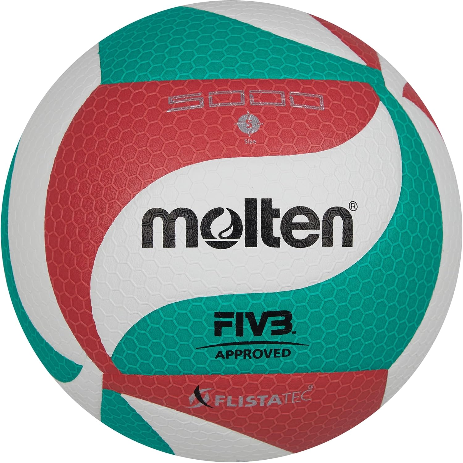 Molten Volley Ball