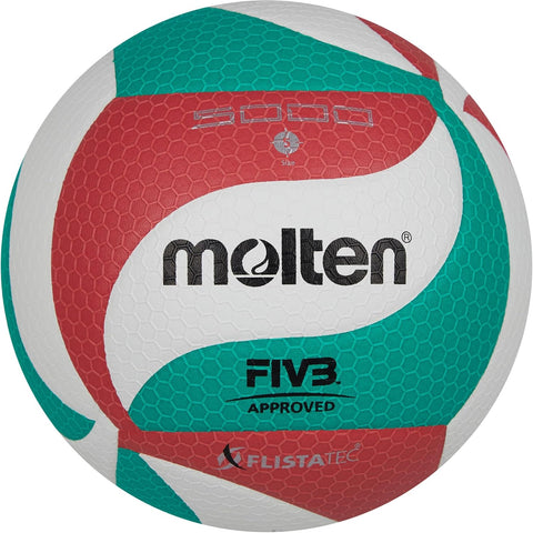 Molten Volley Ball