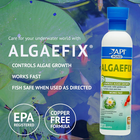 API POND ALGAEFIX (1 gallon) Pond Algae Control - Copper Free - Clean, Clear Water - Up to 38400 Gallons - Safe for Fish, Plants - Water Gardens, Fountains - Natural Active Ingredient - EPA-Registered