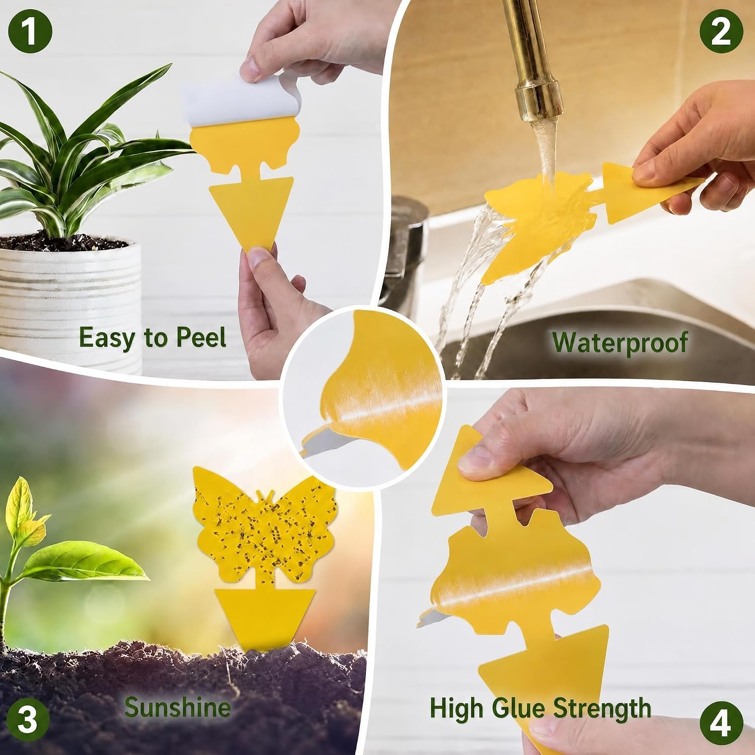 Yellow Sticky Fruit Fly Trap 36 Pack, Dual-Sided Gnat Traps for Plants