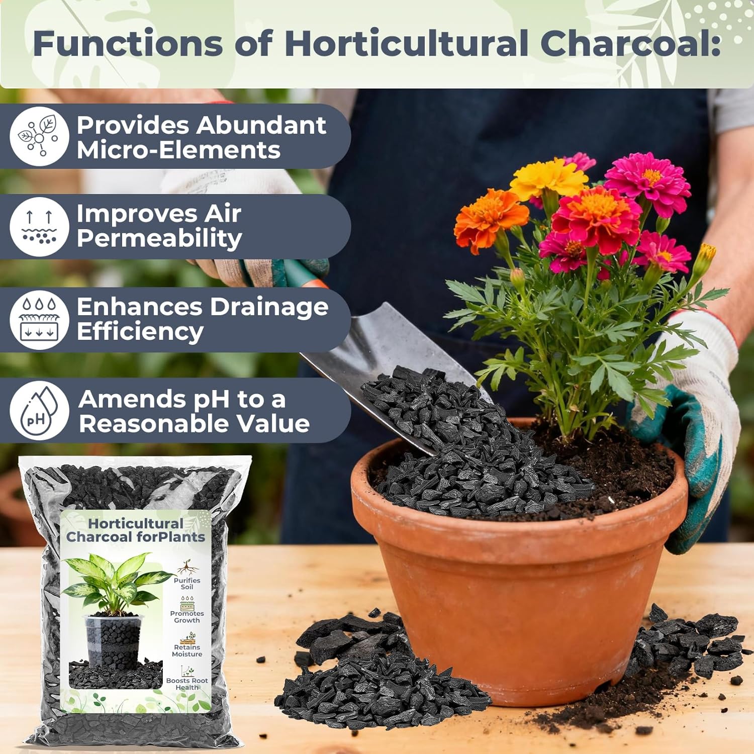 Sukh 1Qt Horticultural Charcoal for Plants - Organic Biochar Soil Amendment