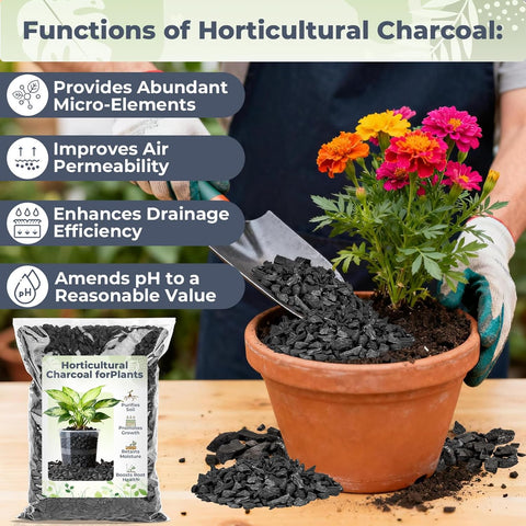 Sukh 1Qt Horticultural Charcoal for Plants - Organic Biochar Soil Amendment