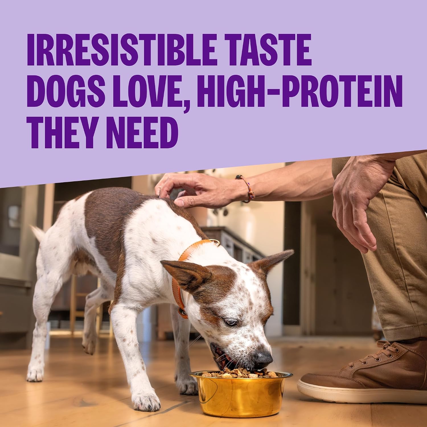 Wellness CORE+ Adult Dry Dog Food with Freeze Dried Pieces, Wholesome Grain Kibble+, Natural, High Protein, Beef and Barley Recipe, 18 lb Bag