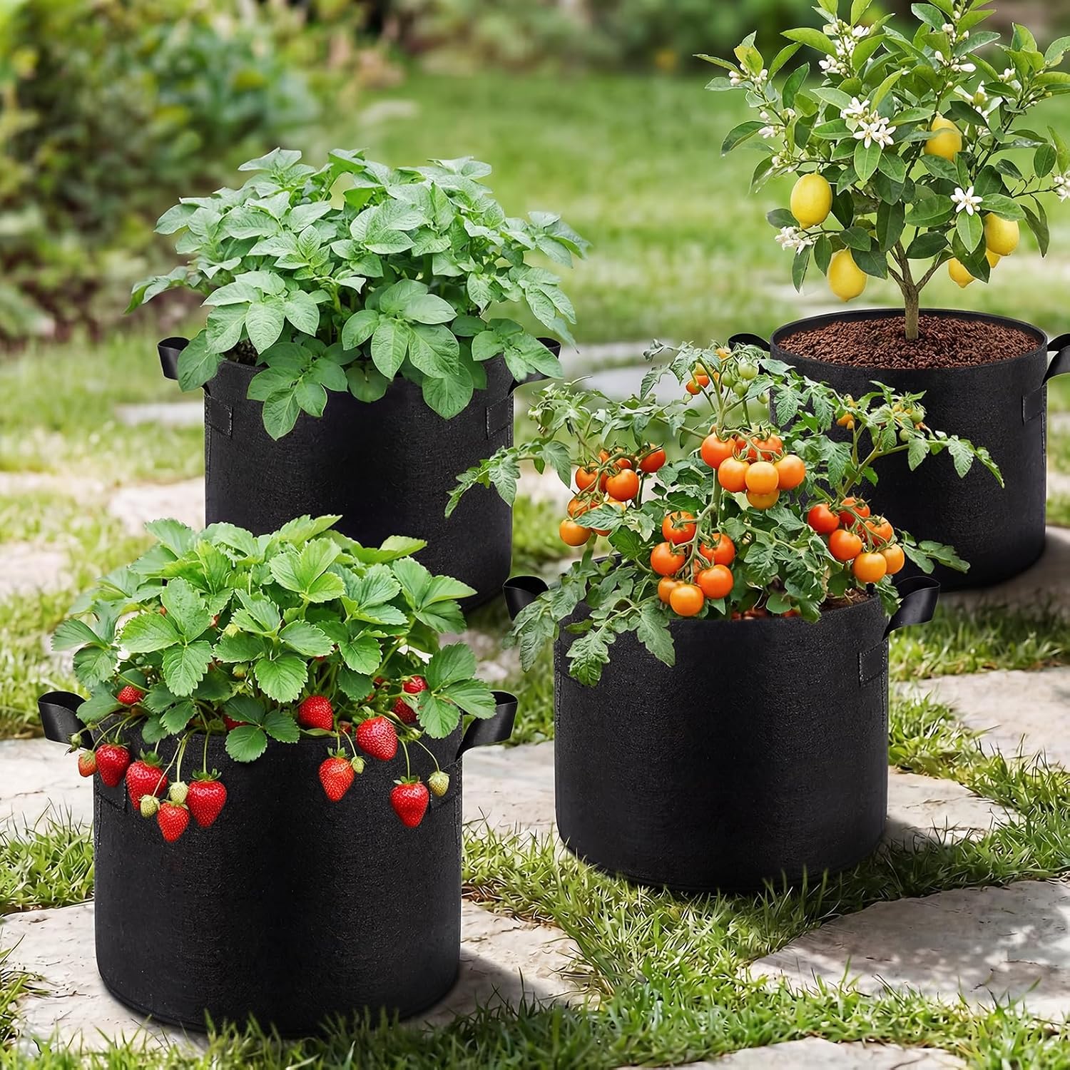 Songrey 10-Pack 10 Gallon Grow Bags