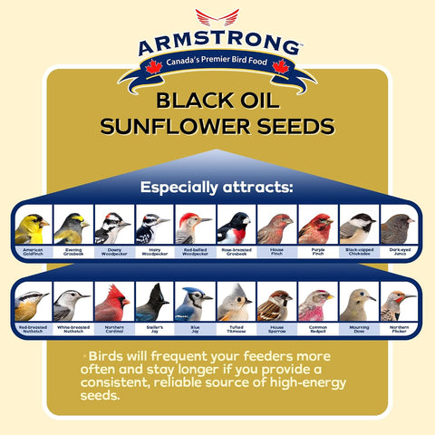 Armstrong Wild Bird Food Black Oil Sunflower Bird Seed, 8 Pounds - for Northern Cardinals, Blue Jays and Hairy Woodpeckers - Ideal for Outside Feeders