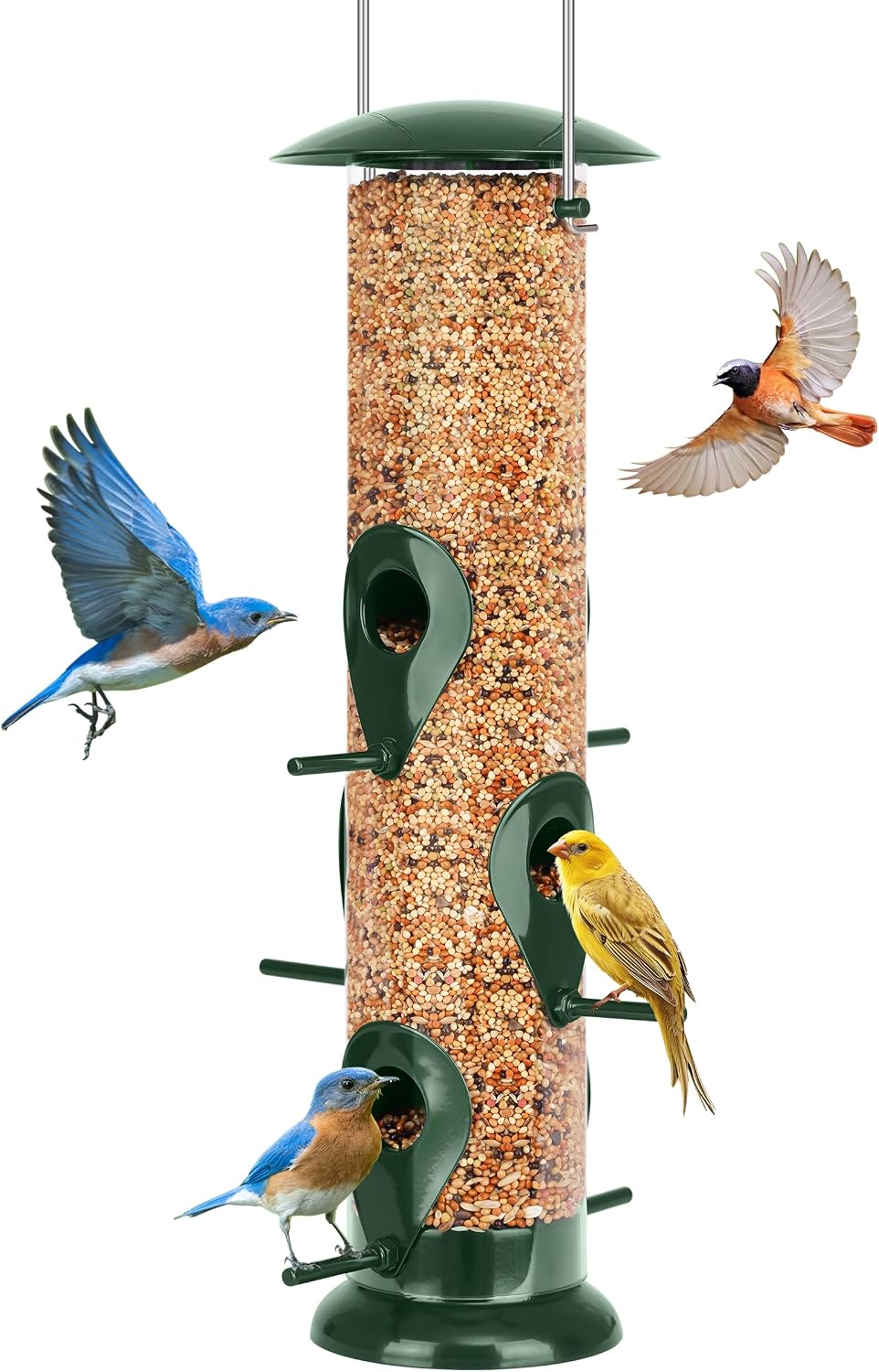 FEED GARDEN Bird Feeder for Outdoors Hanging, 13" 6 Ports, Clear Tube