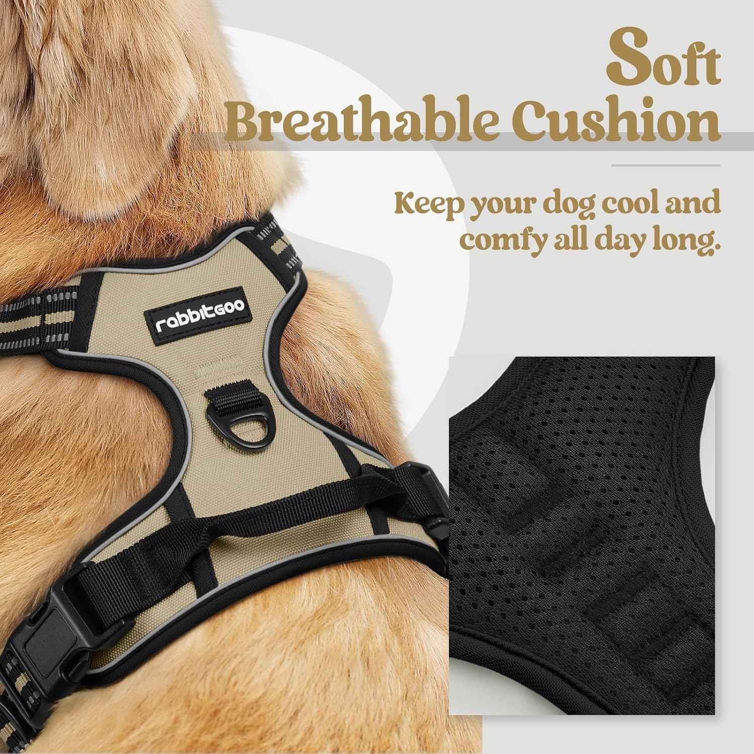 rabbitgoo Dog Harness, No Pull Medium Sized with 2 Leash Clips, Pet Vest