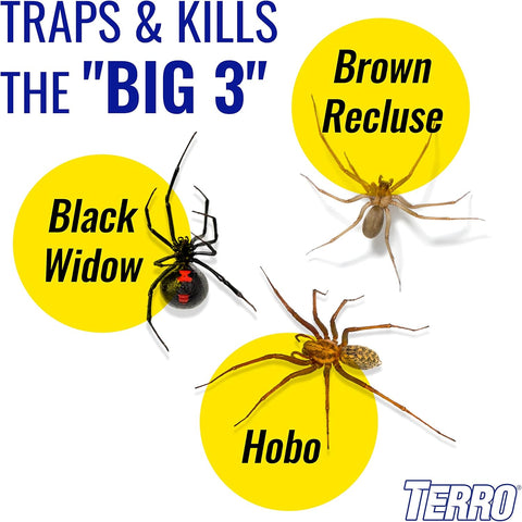 TERRO Spider & Insect Trap, 10-Pack Sticky Glue Traps