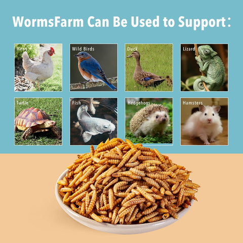 WormsFarm 10lb Dried Black Soldier Fly Larvae Treat for Chickens More Calcium Than Mealworms,for Laying Hen,Wild Birds(10 Pound)