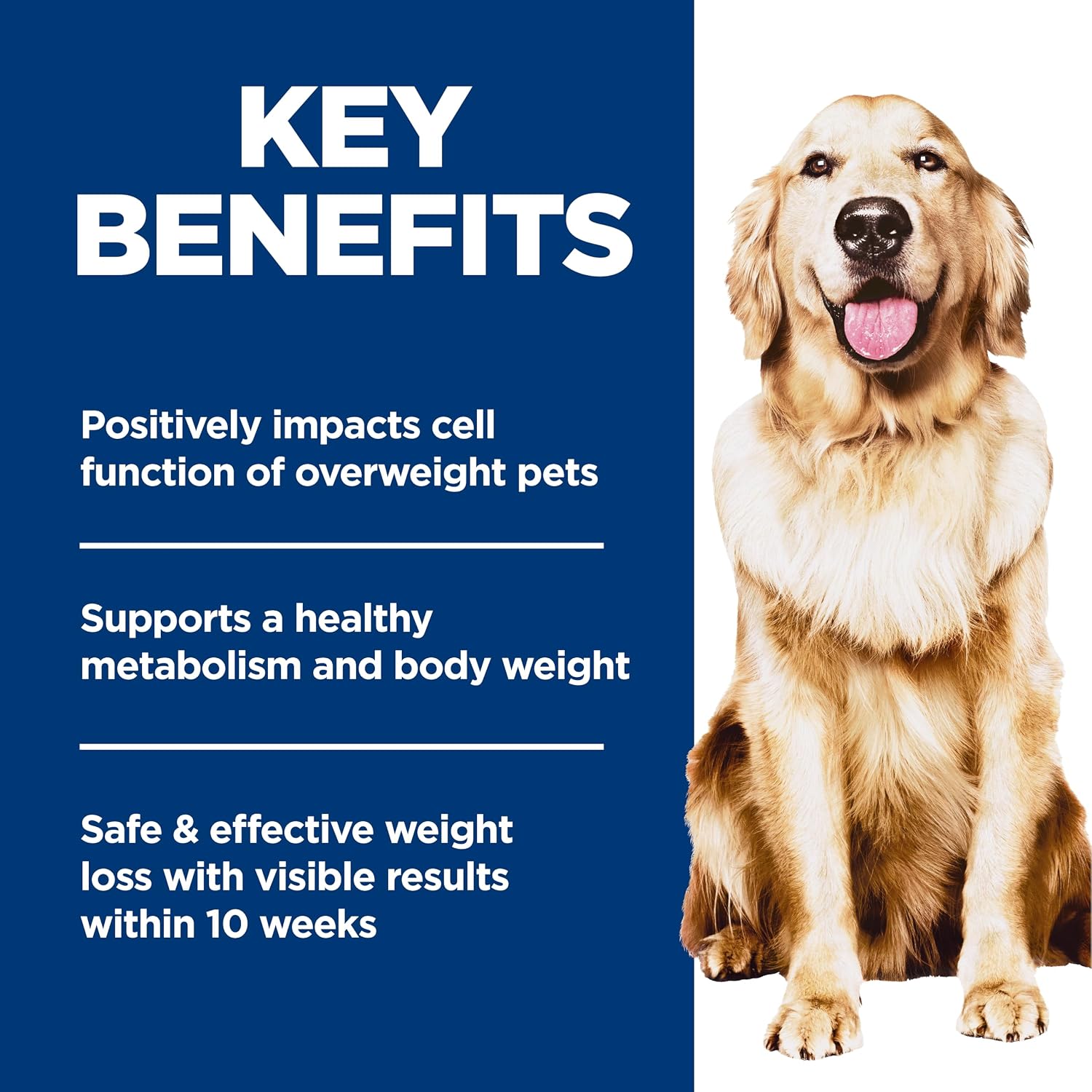 Hill's Science Diet Adult Perfect Weight Dry Dog Food