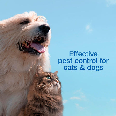 ADAMS Plus Flea & Tick Shampoo with Precor for Dogs & Cats, 12 oz