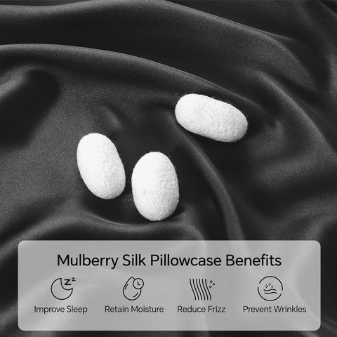 INFIIXSO Silk Pillow Cases 2 Pack, Standard Size, Hidden Zipper, Black