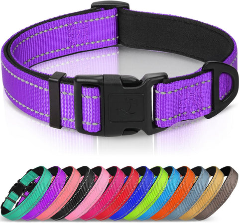 Joytale Reflective Dog Collar, Adjustable Neoprene Padded, Purple M