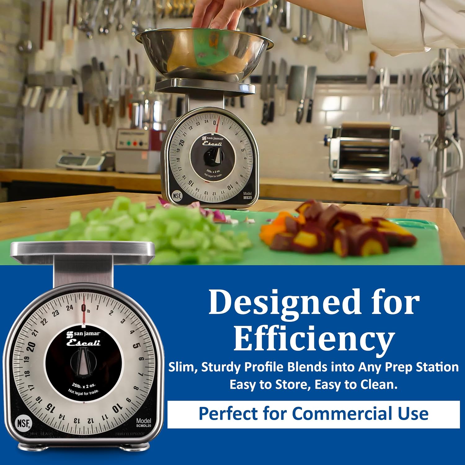 San Jamar Ms Series Mechanical Dial Scale Manual Food Scale with 2 Pound Capacity for Kitchens, Restaurants, And Cooking, Metal, 32 Ounces, Silver