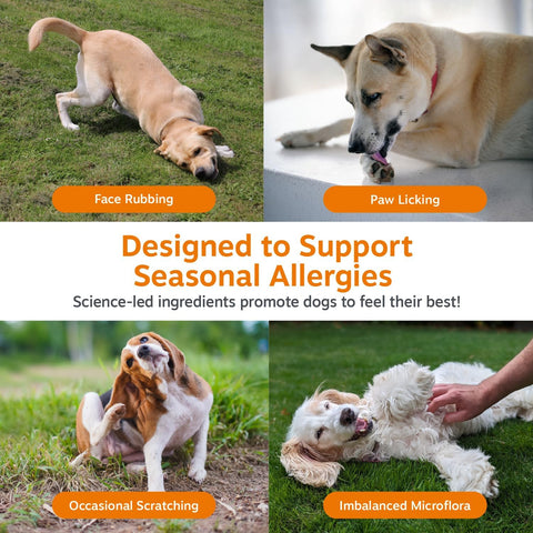 Zesty Paws Dog Allergy Chews - Dog Allergy Relief, Lamb, 90 Ct