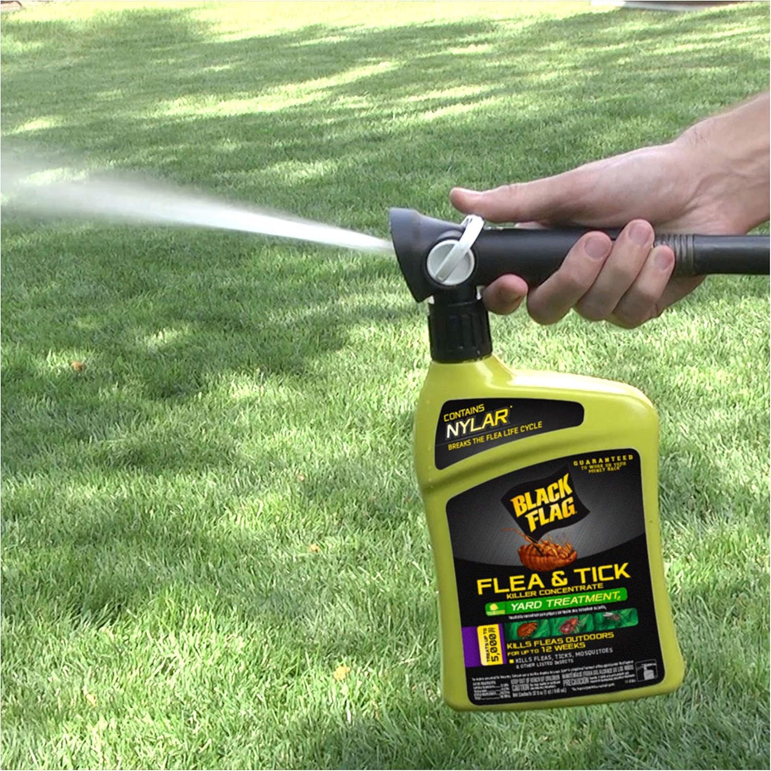 Black Flag Flea and Tick Killer Concentrate Yard Treatment, 32 Oz, 3 Pack