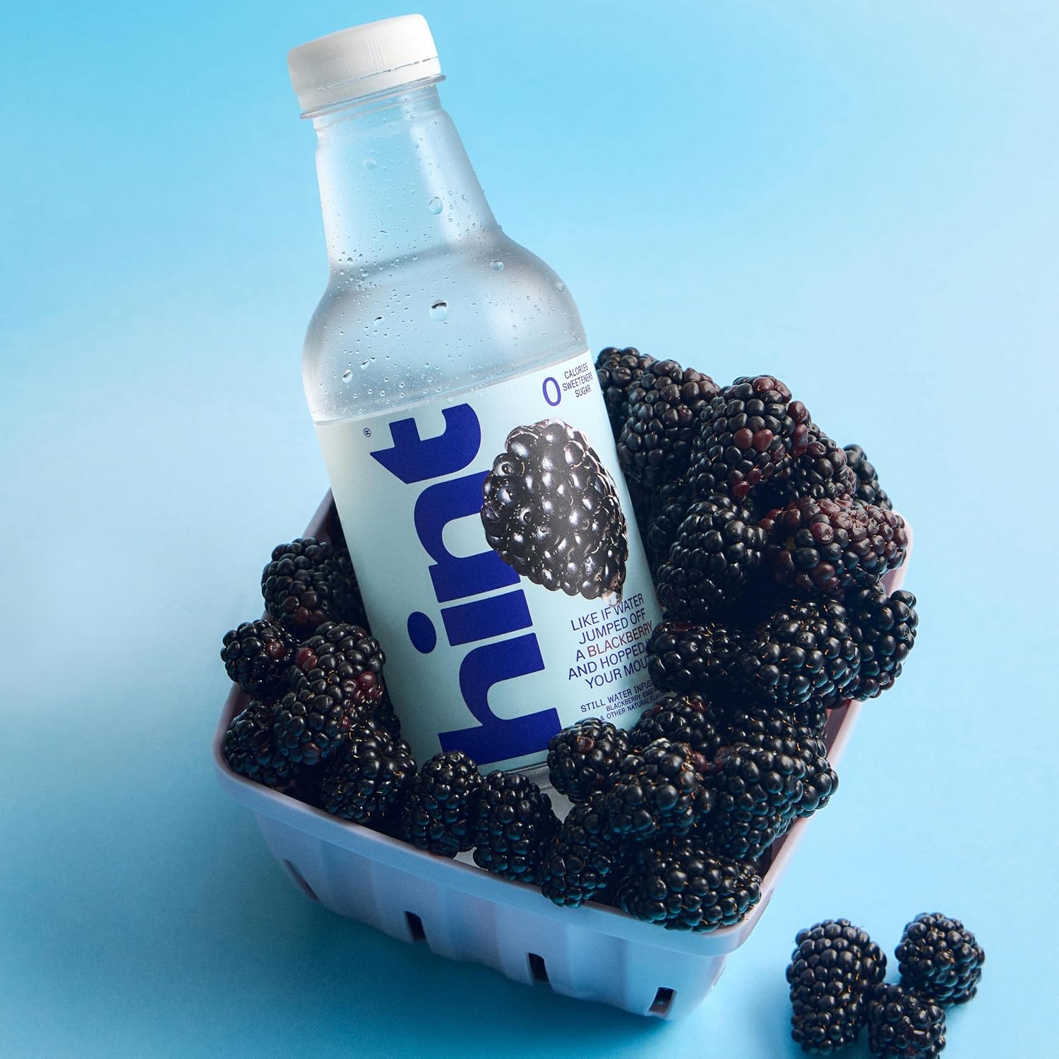 Hint Fruit-Infused Bottled Water, Blackberry - Sugar Free Flavored Water with Zero Calories, Natural Fruit Essences, and No Artificial Sweeteners - 16 Fl Oz (Pack of 12)