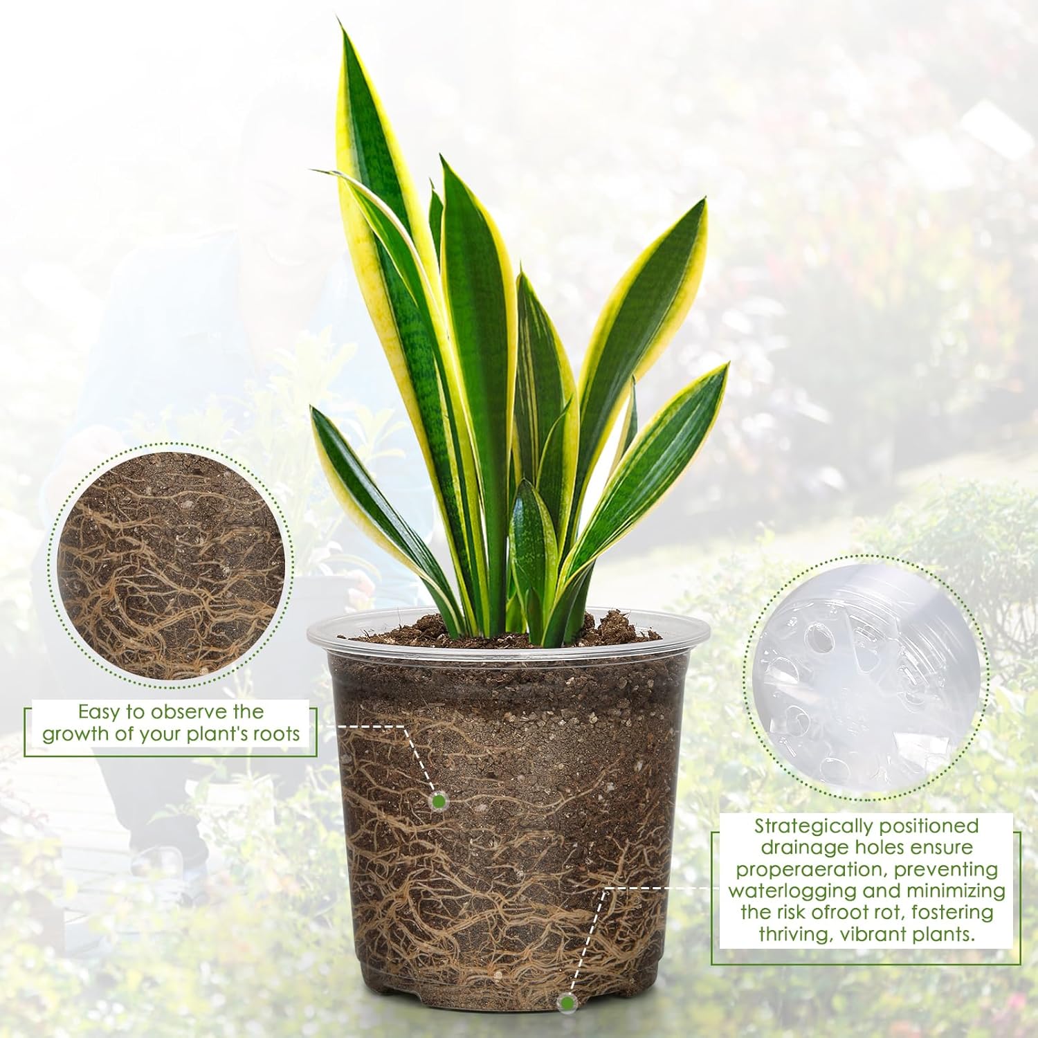 FUIJOL 5 Inch Clear Nursery Pots for Plants with Sacuers 15 Pack, Plastic Flower Pots with Drainage Holes, Variety Pack Seedlings Garden Pot for Indoor Outdoor (5 inch)