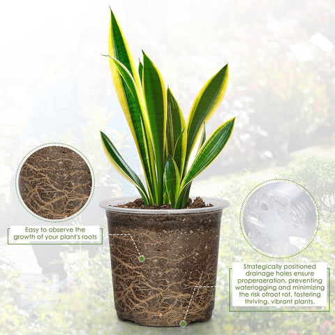 FUIJOL 5 Inch Clear Nursery Pots for Plants with Sacuers 15 Pack, Plastic Flower Pots with Drainage Holes, Variety Pack Seedlings Garden Pot for Indoor Outdoor (5 inch)