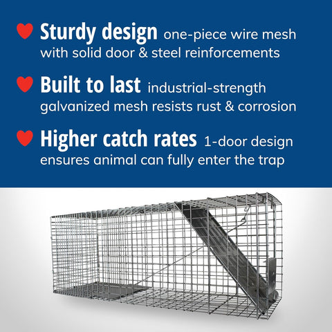 Havahart Large 1-Door Live Animal Trap for Raccoons, Cats, Bobcats, Beavers