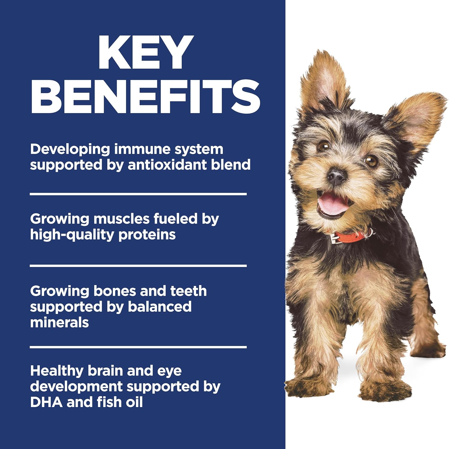 Hill's Science Diet Puppy Small & Mini Dry Dog Food
