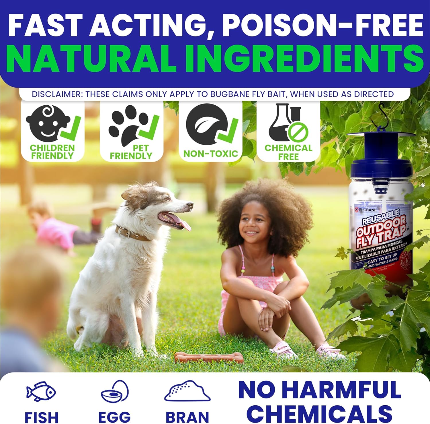 3 Fly Traps Outdoor Fly Trap for Patio with 6 Non-Toxic Dissolvable Bait Refills. Reusable Hanging Bug Catcher Killer for All Filth Flies for Outside Bug Control Yard Ranch. Hanging Chains Included.