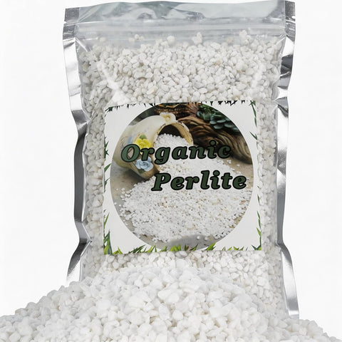 Doter Organic Perlite for Plants, Soil Amendment for Enhanced Drainage and Growth, Ideal for Potting Mixes (1 Quart)