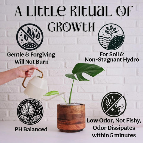 Organic Liquid Indoor Plant Food, Houseplant, Tropical & All-Purpose Indoor Plant Fertilizer, Organic Liquid Fertilizer 5-5-5 with Sea Kelp, 8oz Treats 50 Gallons