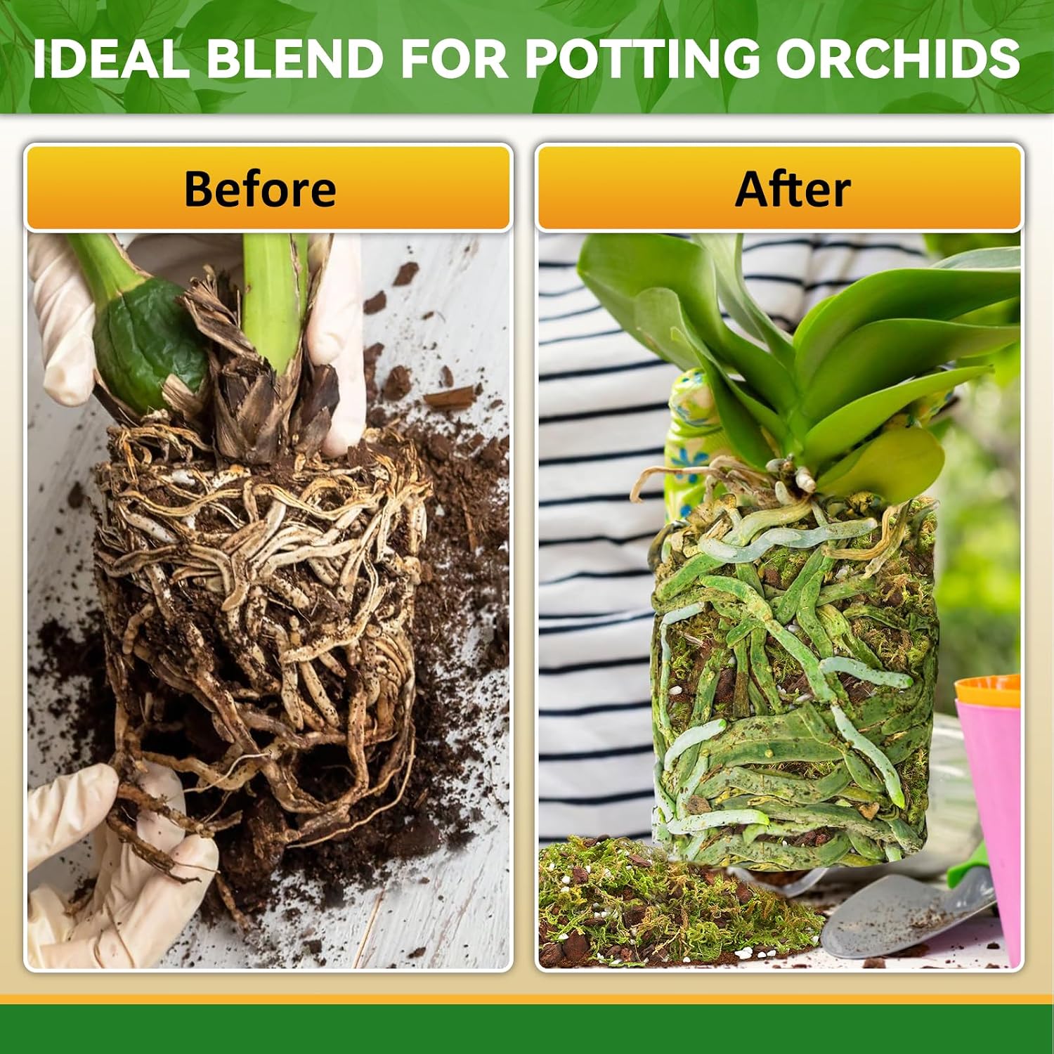 Riare 6QT Orchid Potting Mix for Repotting, Pre-Mixed & Ready-to-Use