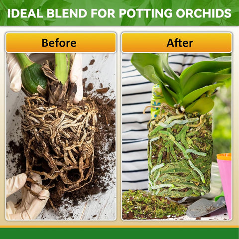 Riare 6QT Orchid Potting Mix for Repotting, Pre-Mixed & Ready-to-Use