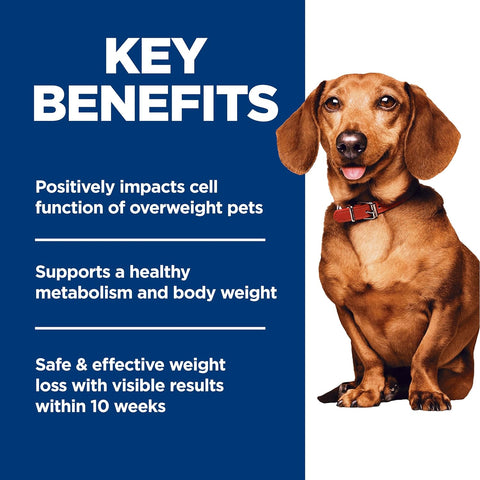 Hill's Science Diet Adult Perfect Weight Small & Mini Dry Dog Food