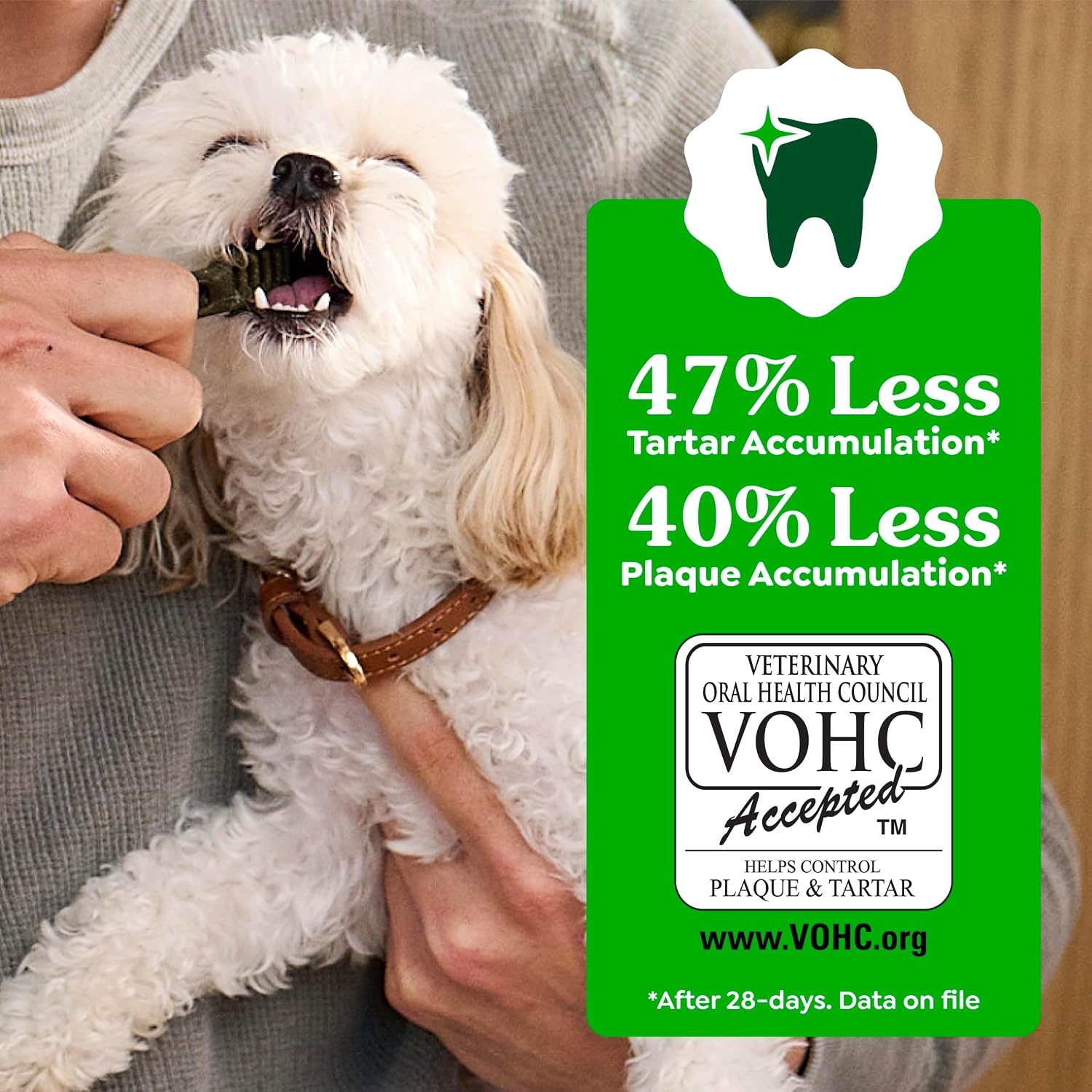 Greenies Petite Natural Dental Dog Treats, Original Flavor, 60 Count