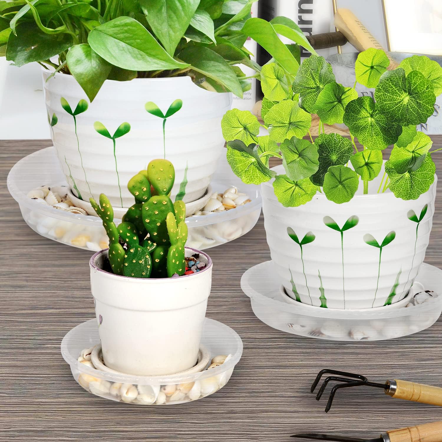 SupKing 6 Pack Plant Saucers Drip Tray, 6 8 10 12 14 15 Inch Heavy Sturdy Plastic Flower Pot Saucers for Indoor,Clear Plastic Planter Water Tray for pots Base (10''-Clear)