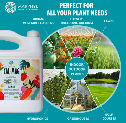 MARPHYL Organic Cal-Mag Liquid Fertilizer – Calcium & Magnesium Supplement to Correct Plant Deficiencies, Supports Strong Growth for Garden Flowers, Vegetables, Succulents & Hydroponics