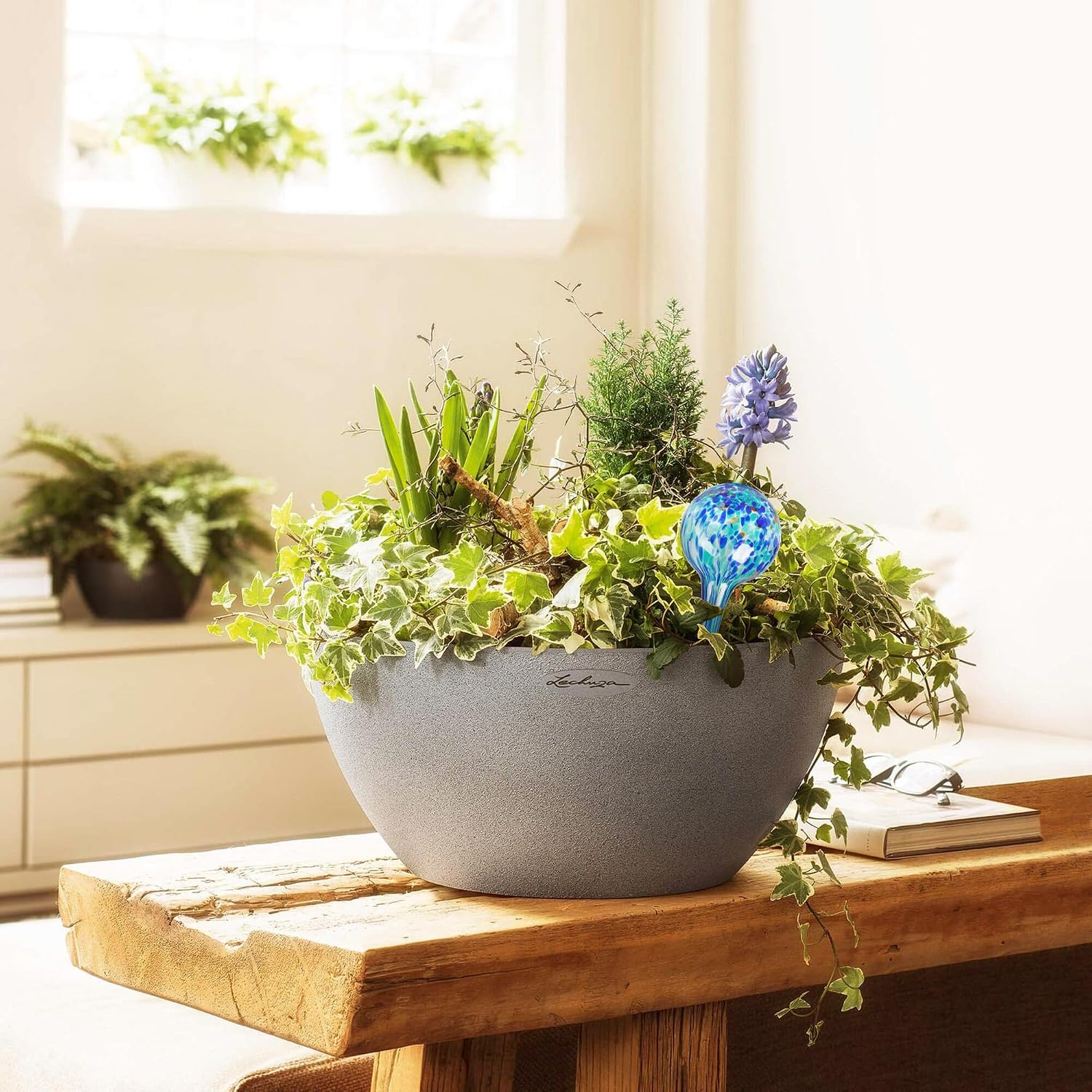 Plant Watering Globes Set of 4, Large - Glass Self Watering Globes