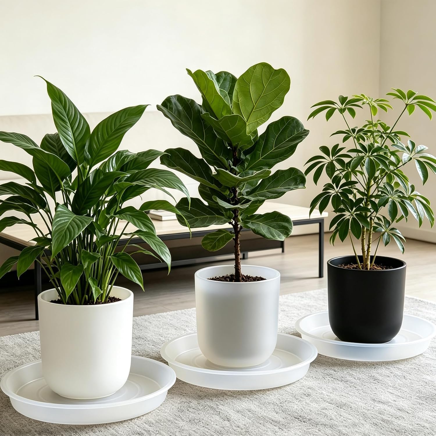 TITE Plant Saucer Heavy Large Planter Durable Thicker Plastic Plant Trays for Indoors and Outdoor,Plant Saucer Drip Trays (Transparent, 14 inch)