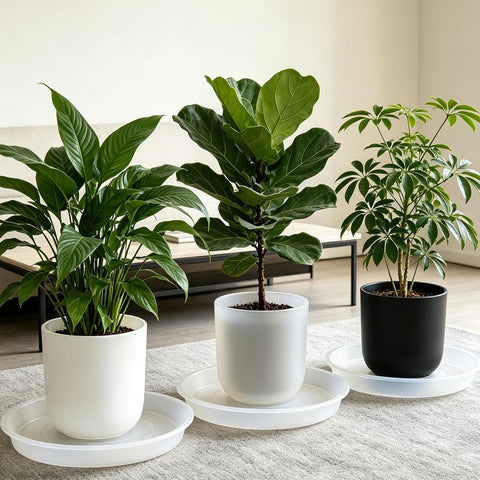 TITE Plant Saucer Heavy Large Planter Durable Thicker Plastic Plant Trays for Indoors and Outdoor,Plant Saucer Drip Trays (Transparent, 14 inch)