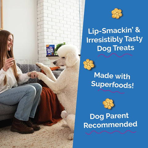 Fruitables Baked Dog Treats, Low Calorie Treats, Pumpkin & Blueberry, 20oz
