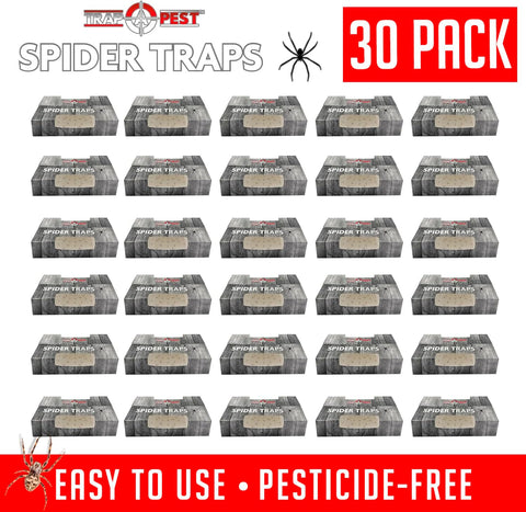 Trap a Pest Indoor Sticky Spider Traps - Glue Traps - 30 Pack