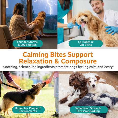 Zesty Paws Advanced Calming Chews for Dogs - Melatonin, Bacon, 90 Ct