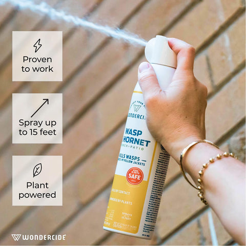 Wondercide - Wasp and Hornet Killer Aerosol Spray - 10 oz - 2 Pack